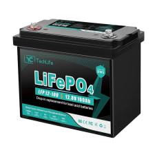 Литий-железо-фосфатный аккумулятор EverExceed Techlife LFP-12100