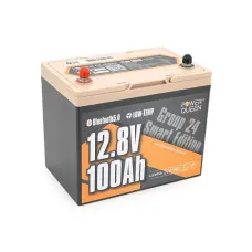 Литий-железо-фосфатный аккумулятор Power Queen PV 12V100Ah PREM24 BT