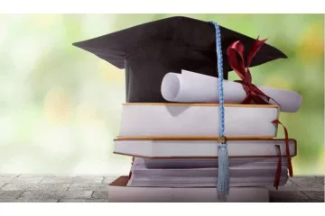 Социальная программа Scholarship от Voltmarket