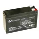 Аккумуляторная батарея LUXEON LX1250B