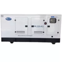 Дизельная электростанция Malcomson ML220-R3 ATS
