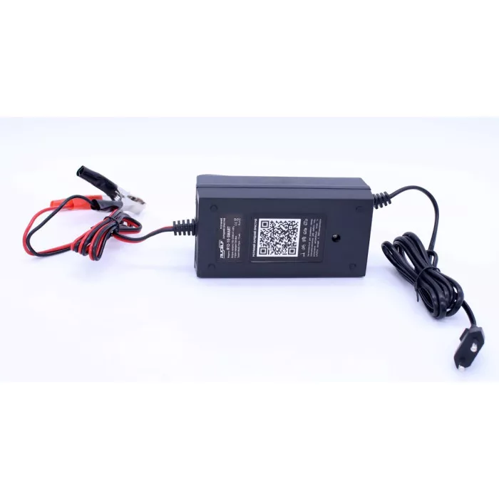 Зарядное устройство RUCELF R12-10 SMART