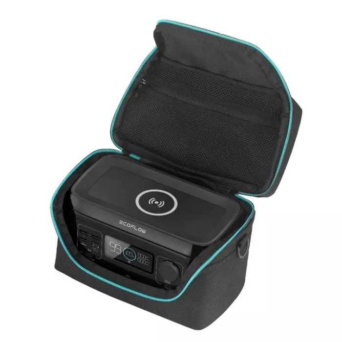 Сумка EcoFlow DELTA mini Bag