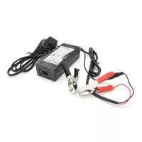 Зарядное устройство Merlion ЗУ LiFePO4 12V(14,6V)-3A-36W 20824