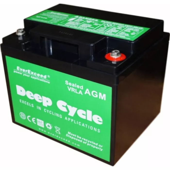 Аккумуляторная батарея EverExceed DP-1235