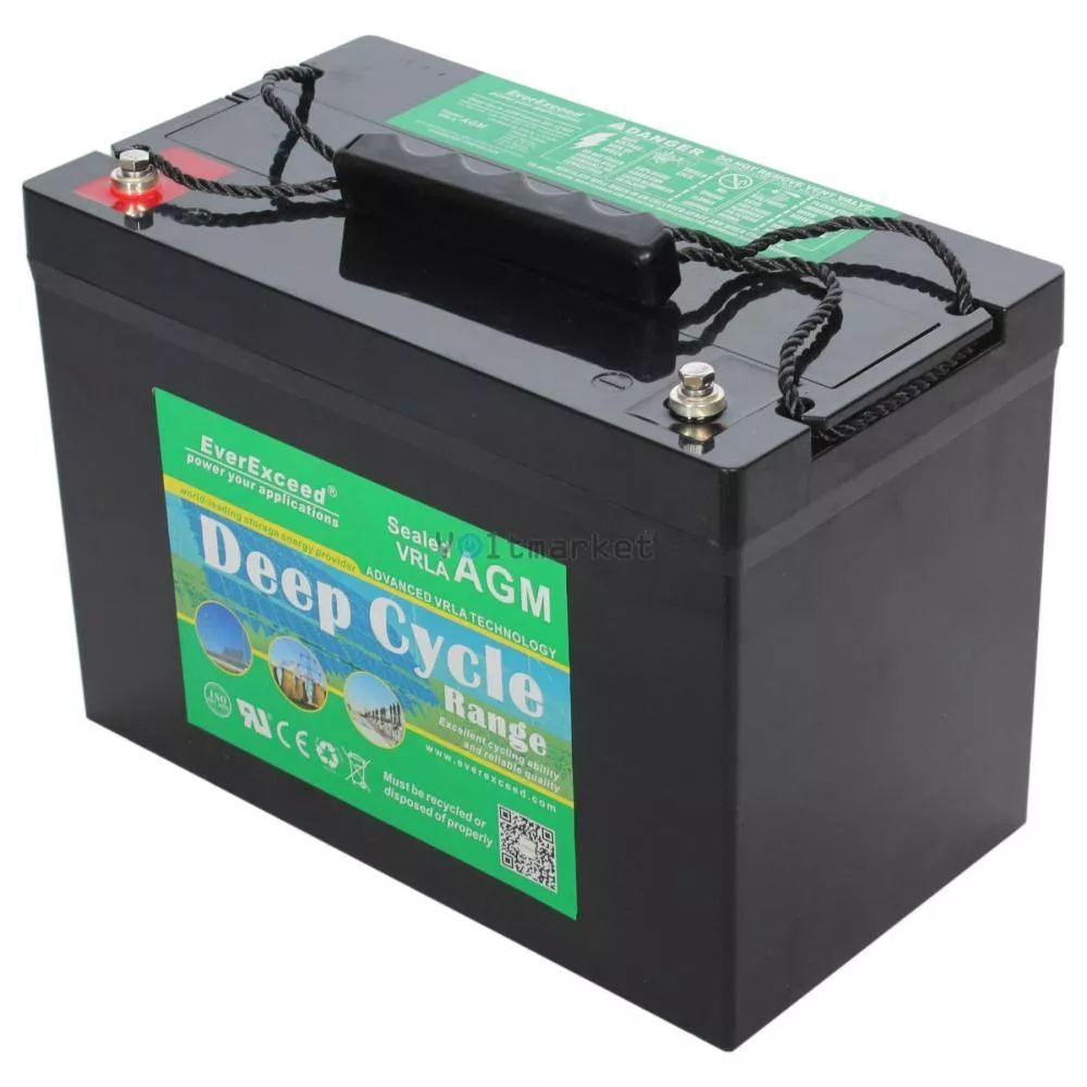 Аккумуляторная батарея EverExceed DP-12100