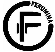 Ferumina QUEST-6000